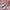 Makeup Brush – Soft Blending & Application Tool