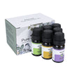 Essential Oils Set – 6 Piece Aromatherapy Kit